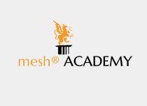 Mesh-Academy
